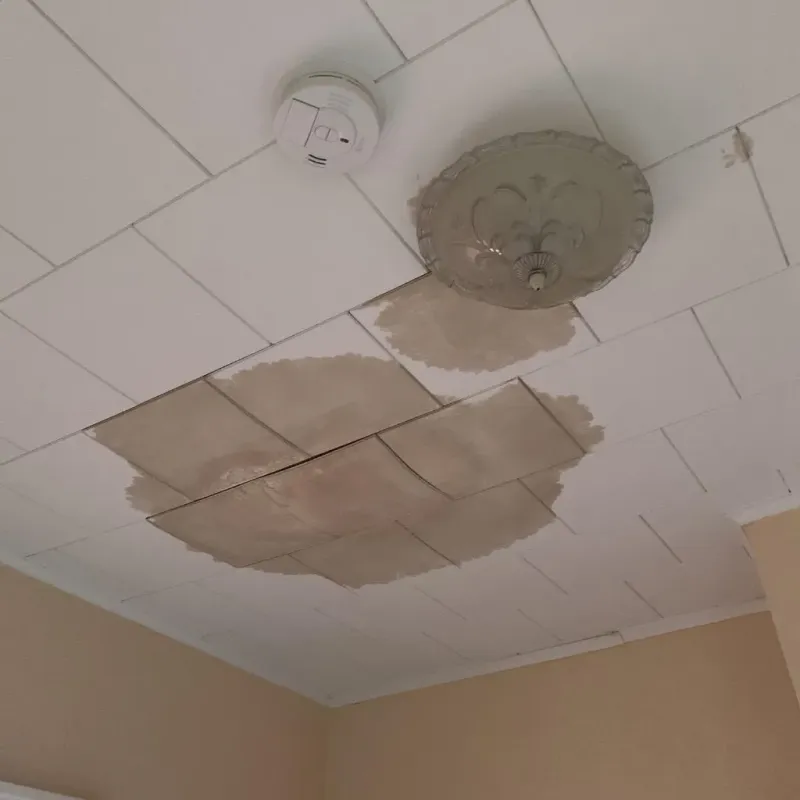 Ceiling Water Damage Repair in Palmdale, PA