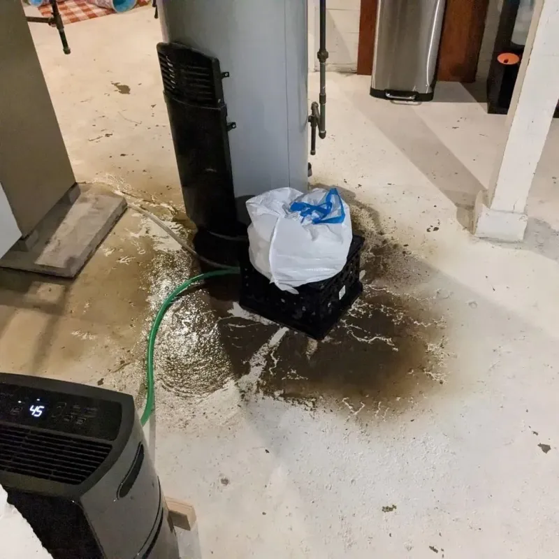 Sewage Backup Cleanup Service in Palmdale, PA